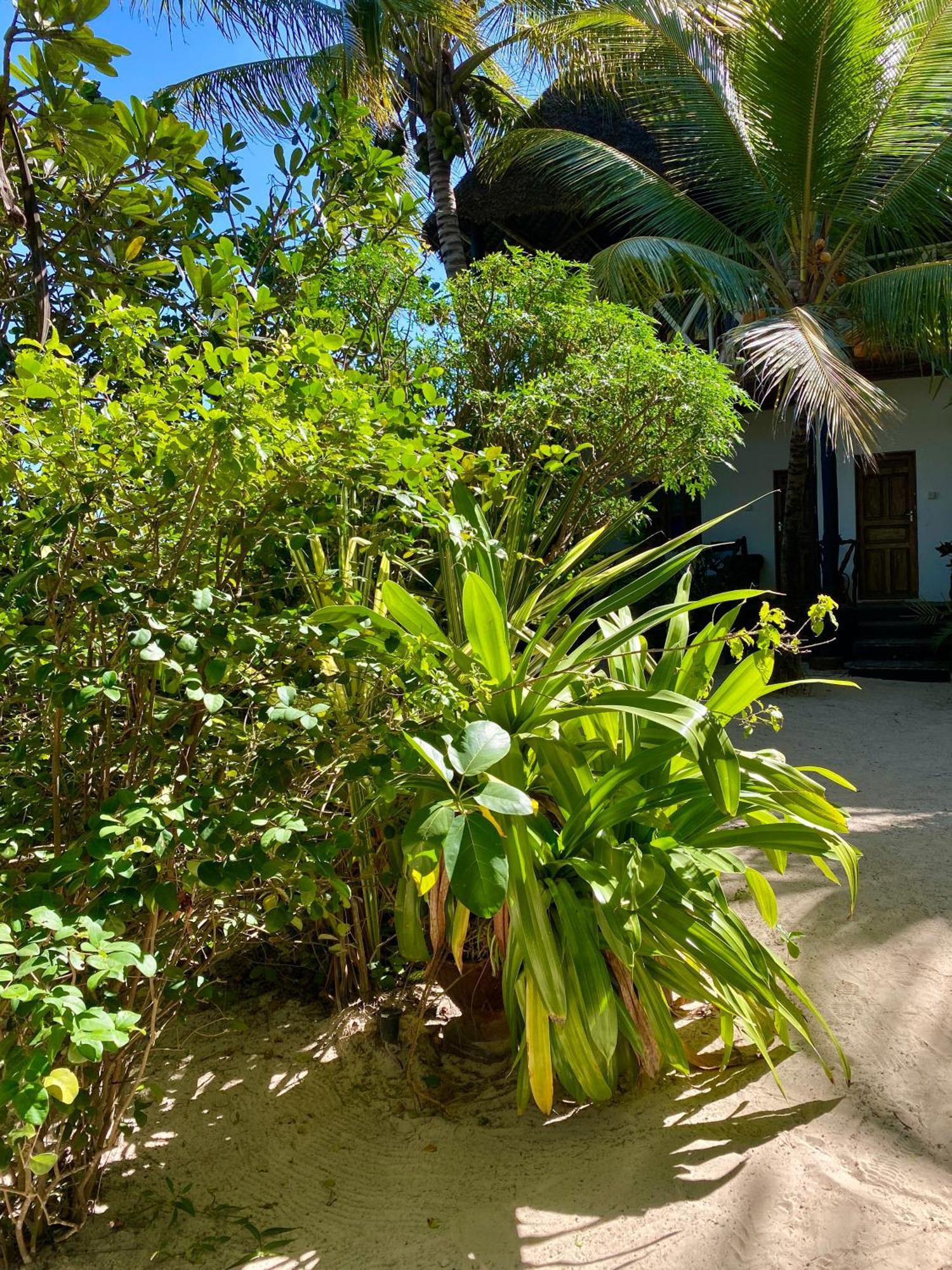 The Seles Boutique Hotel Gazija Kültér fotó